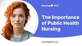 The Importance of Public Health Nursing - Essay Example