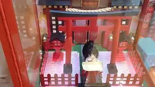 Omikuji Fortune Slip