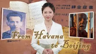 От Гаваны до Пекина: интернациональный роман соединяет время, пространство и сердца