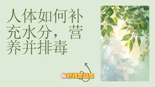 人体补充水分、营养并排毒 | Human body replenishes water, nutrients and excrete toxins