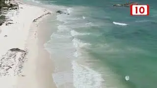 GOBIERNO DE TULUM INICIA ACCIONES PARA ATENDER LA TEMPORADA DE SARGAZO