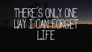 Tom Walker - Fly Away With Me / Lyric Video