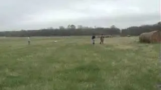 North Texas Retriever Trainers