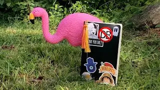 ⛱️Summer field Guide | a5 moleskin | mixed media Junk journal ideas | a summer well spent 🥰