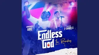 The Endless God (feat. E-Daniels)