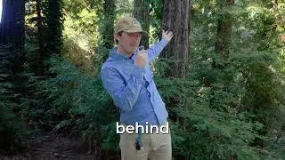 What is the San Lorenzo Valley?