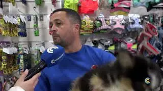 Desde Mr. Mad Lepe, expertos en mascotas, nos dan claves para cuidar a nuestra mascota tras un accid