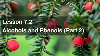 Lesson 7.2 Alcohols and Phenols (Part 2)