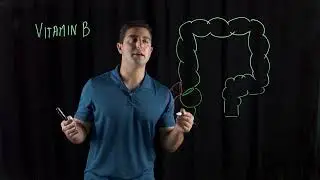 Functions of Colon