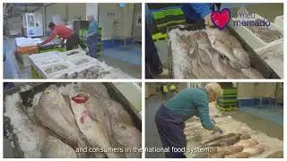 'Gosto do Meu Mercado' | MARL & Mercado Municipal de Sesimbra & Mercado Municipal de Torres Vedras