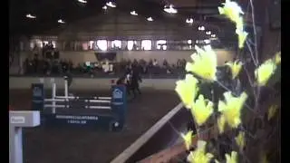 Norvidden Horse Festival