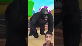 Long Slide Game With Cow Elephant Gorilla Hippopotamus Tiger - 3d Animal Game - Funny 3d Animals