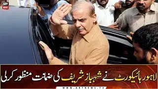 Shehbaz Sharif gets bail in assets case