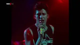 Herman Brood & His Wild Romance - Live at Rockpalast, Dortmund December 9th, 1978 (HD!)