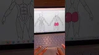 Str&aacute;nka sa vol&aacute; MUSCLE WILI #workout #gym #gymbeginner #gymtips