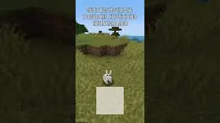 The Killer Rabbit ! Minecraft Easter Eggs #4