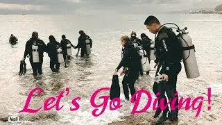 SCUBA DIVING 2021. #Israel #eilat #adventure #travel