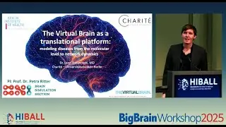 LOC session 3 - The Virtual Brain As A Translation Platform