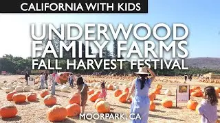 Underwood Family Farms Pumpkin Patch 
