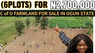 HOW TO MAKE PASSIVE INCOME FROM FARMLAND | DISCOVER AROKO FARM AND RESORT | FARMLAND FOR SALE