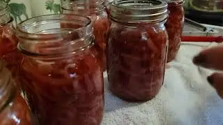HOW TO WATER BATH CAN RED WINE VINEGAR ONIONS! Easy for beginners