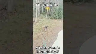 Miksi en halunnut is&auml;ksi aiemmin? #isyys #vanhemmuus