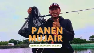 плохо...!!!тилапия тилапия здесь очень жадная