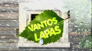 Vantos lapas 2020-02-08
