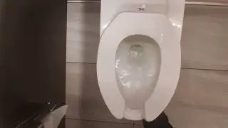 Westfield World Trade Center mall toilets 
