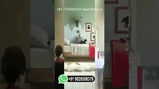 Kid's Room Trundle Bed Kids Bedroom Gray Ideas Video-5106