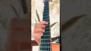 digital bath - deftones