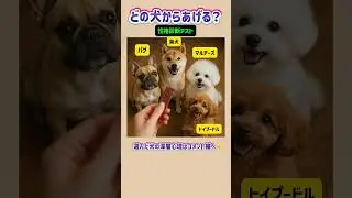 This incredibly accurate psychology test will tell you your true personality based on your dog's ...