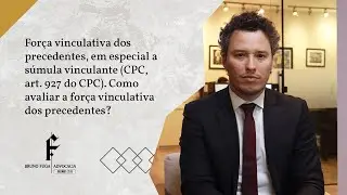 Força vinculativa dos precedentes, em especial a súmula vinculante (CPC, art. 927 do CPC)