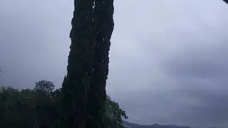 Weather Report, Roma (1980 - Speed Adjusted)