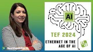 #TEF24: Analyzing the Market Impact of AI Networks