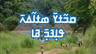 Sory Drame - Lampon wa