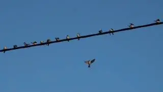 PONTO DE ENCONTRO