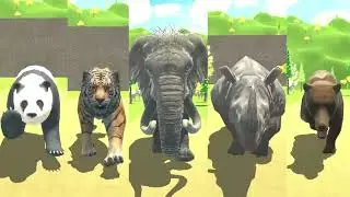 Asian Animals Speed Races in Planet Zoo   Panda, Tiger, Indian Elephant, Rhino, Bear