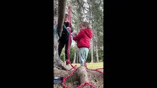 Wrapping  & frapping a log to a tree 🪾🪢