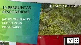 Jardim Vertical de Musgo Moss: 10 Perguntas Respondidas - VERTICAL GARDEN