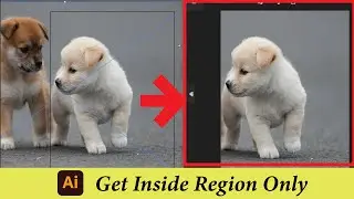 How to Get Specified Region / Size: Crop Output Adobe Illustrator / Export Inside Artboard