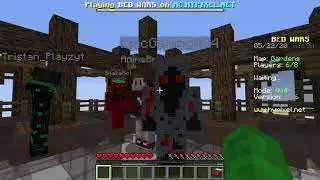 Minecraft hypixelserver