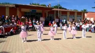 23 nisan işaret dili gösterisi (kalbimin tek sahibine)