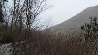 Troop 701 Cold Weather Backpacking Trip