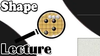 Bats Go Lecture Series - Let's Look at Shape!
