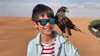 New year 2026 in Dubai and Abu Dhabi 
