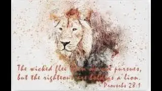 Be As Bold As This Lion #cowards #bold #beautiful #lions #youtube #shorts #alllove #righteous