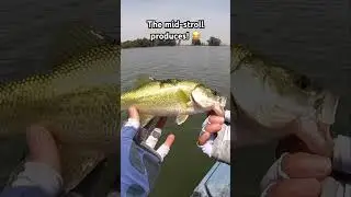 😔 #simonsaysher #bassfishing #hmong #hobiekayak #midstrolling