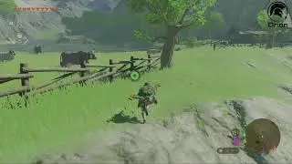 Re-playing for the Nintendo Switch 2 #totk #thelegendofzeldatearsofthekingdom #replay