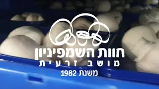 AGROSTUDIES 2018-2019|Champinion Farm (Daily Farm Activities)|Israel